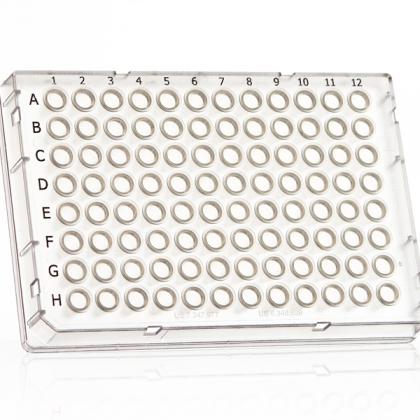 4ti-0970 | FrameStar® 96 Well Skirted Optical Bottom PCR Plate | Front