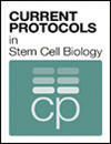 Standardized Cryopreservation of Pluripotent Stem Cells