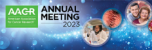 AACR 2023 Annual Meeting 
