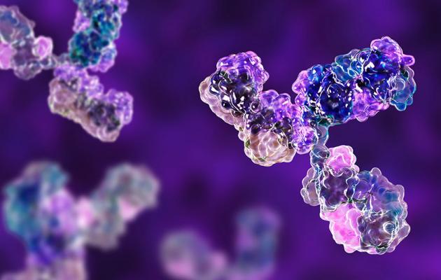 Antibody Libraries for In Vitro Display: What to Consider