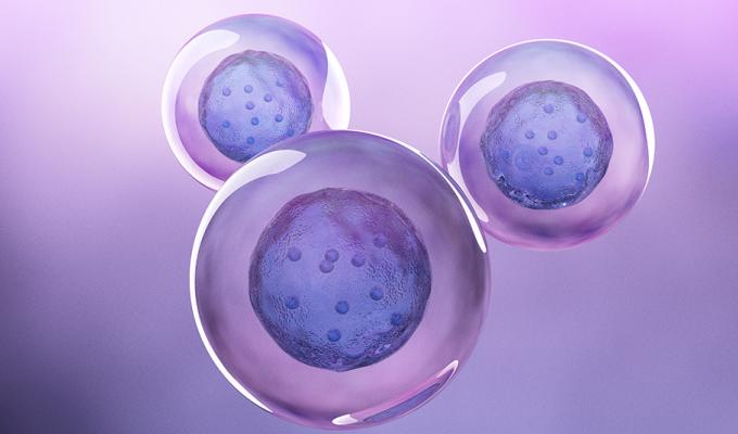 three cells in purple background