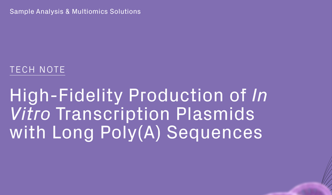 High-Fidelity Production of In Vitro Transcription Plasmids with Long Poly(A) Sequences