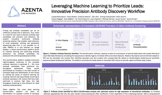 Leveraging Machine Learning to Prioritize Leads: Innovative Precision Antibody Discovery Workflow