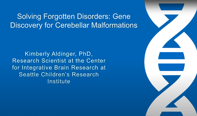Solving Forgotten Disorders: Gene Discovery for Cerebellar Malformations