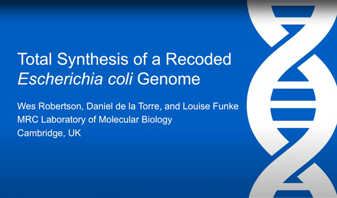 Total Synthesis of a Recoded Escherichia coli Genome