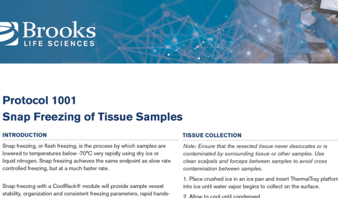 Snap Freezing of Tissue Samples