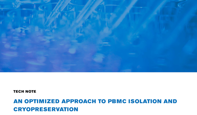 An Optimized Approach to PBMC Isolation and Cryopreservation