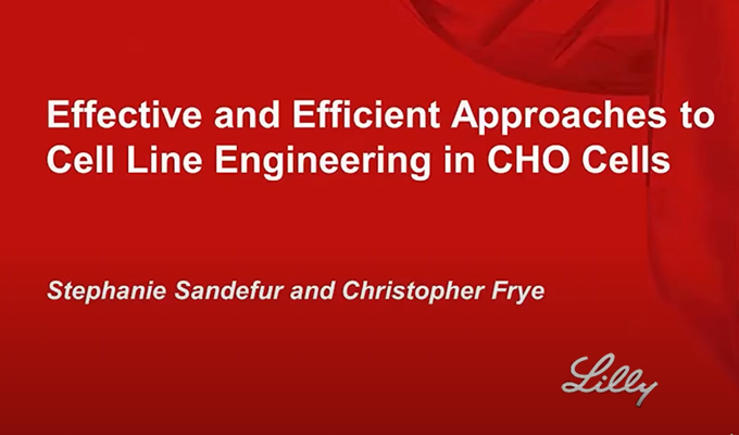 Effective & Efficient Approaches to Cell Line Engineering in CHO Cells