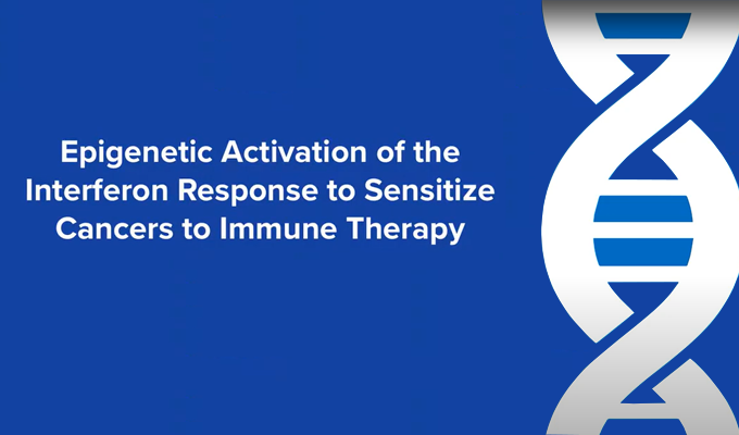 Epigenetic Activation of the Interferon Response to Sensitize Cancers to Immune Therapy