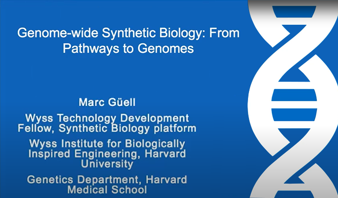 Genome-wide Synthetic Biology: From Pathways to Genomes