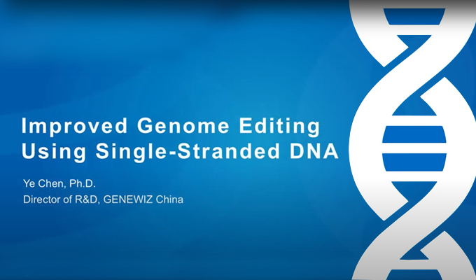Improved Genome Editing Using Single-Stranded DNA