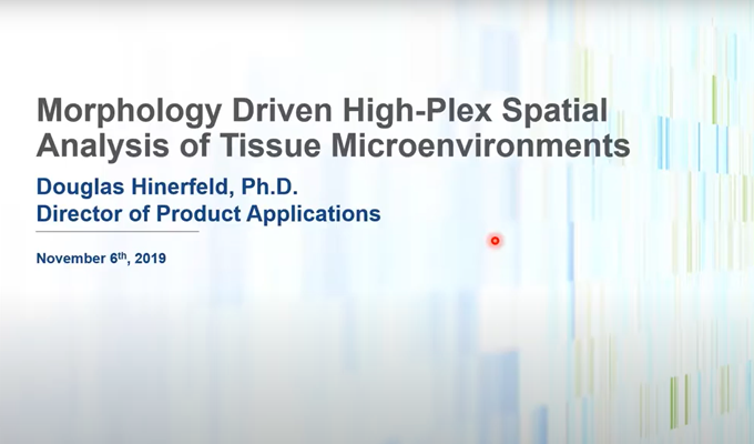 Morphology Driven High-Plex Spatial Analysis of Tissue Microenvironments