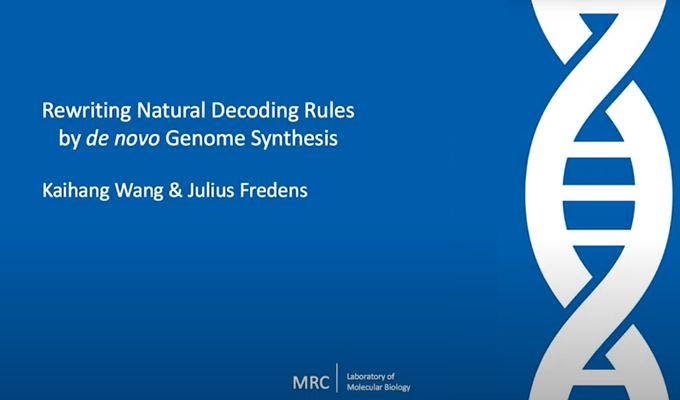 Rewriting Natural Decoding Rules by de novo Genome Synthesis