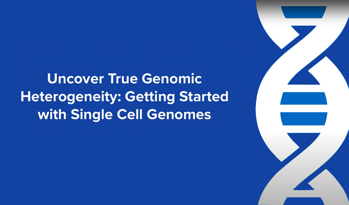 Uncover True Genomic Heterogeneity: Getting Started with Single Cell Genomes