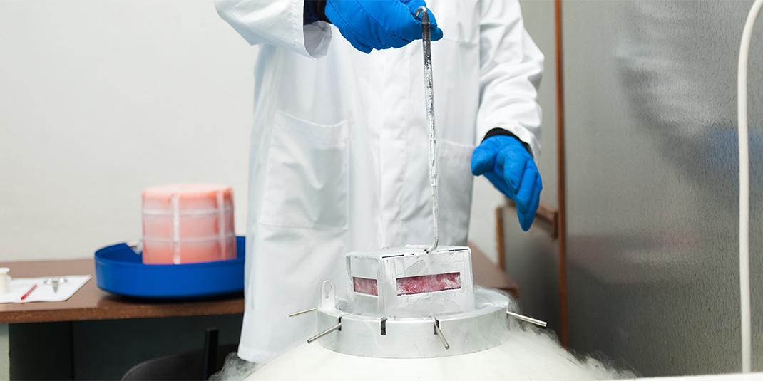 Retrieving samples from a liquid nitrogen tank