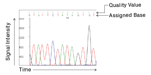 Anatomy of a Sanger sequencing chromatogram