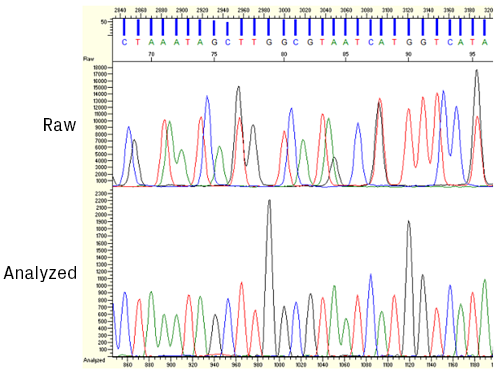 Raw and analyzed Sanger sequencing data in KB Analysis