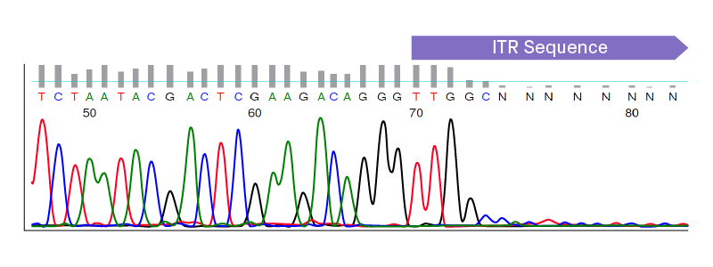 Sequencing chromatogram of ITR sequence showing early termination