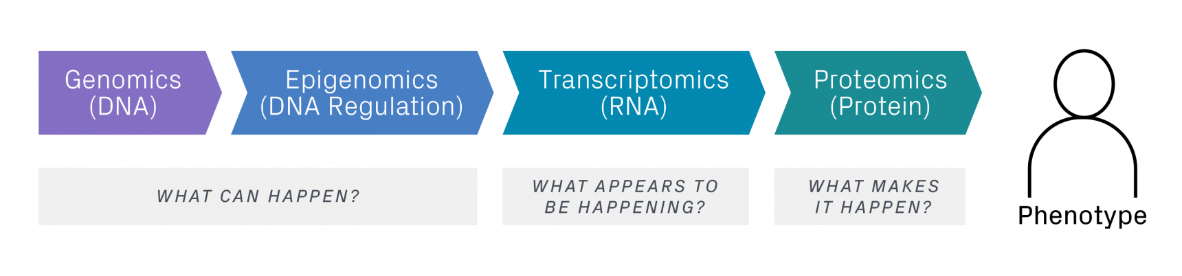 Image of Multiomics Approach: Genomics (DNA), Epigenomics (DNA Regulation), Transcriptomics (RNA), and Proteomics (Protein)