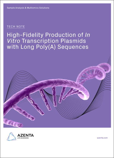 High-Fidelity Production of In Vitro Transcription Plasmids with Long Poly(A) Sequences