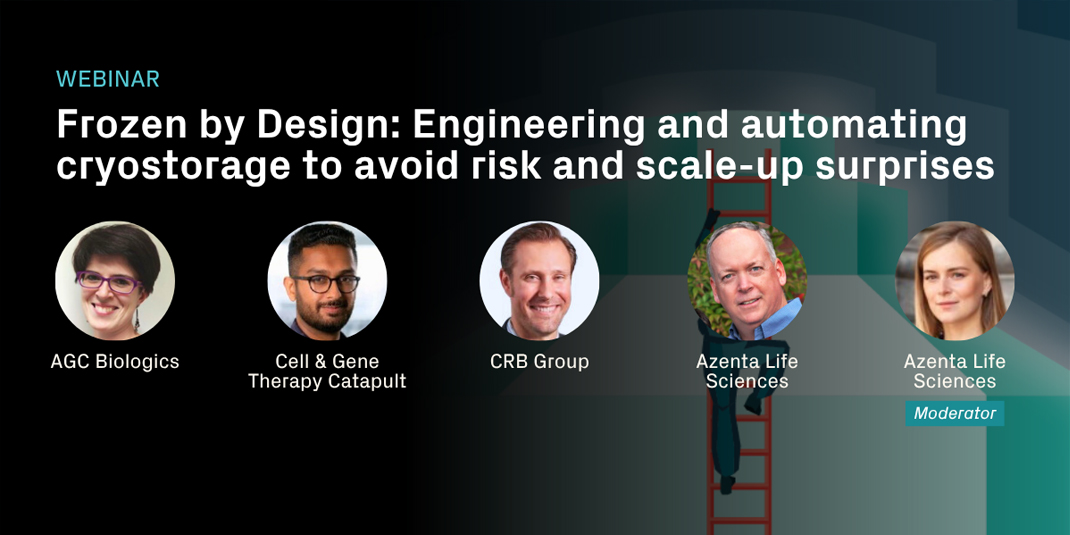 Frozen by design Webinar
