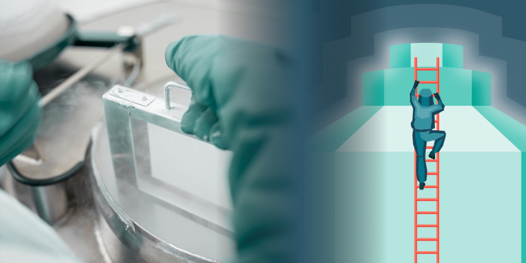 Frozen by design Webinar