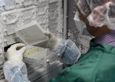 Technician inspecting cryogenic samples