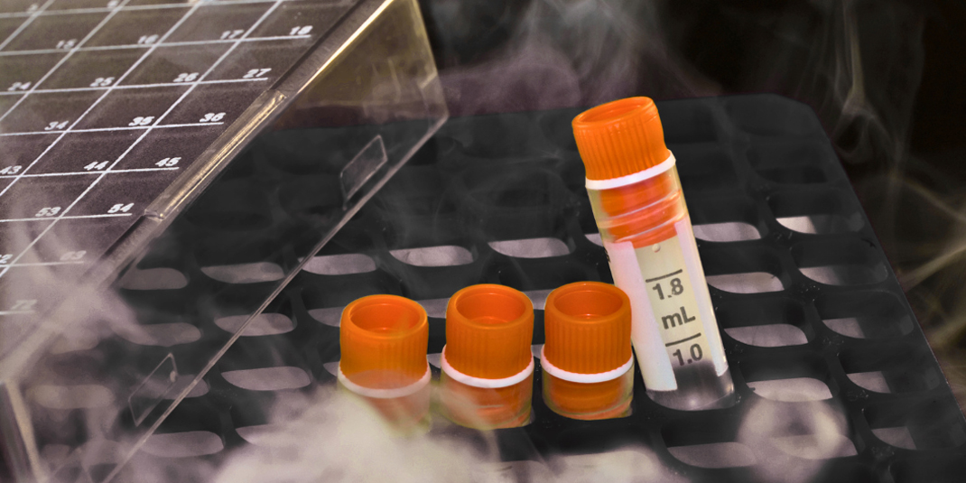 FluidX Tubes in a cryo box in vapor phase liquid nitrogen